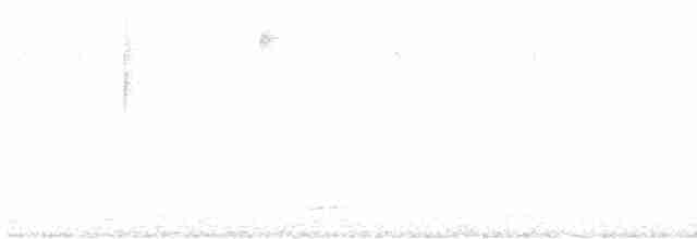 Опоясанный зимородок - ML559995991