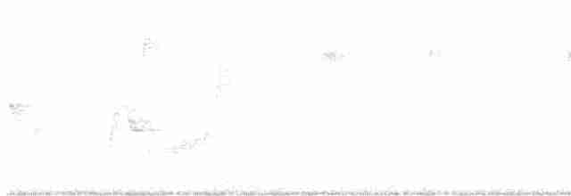 White-eyed Vireo - ML560003471
