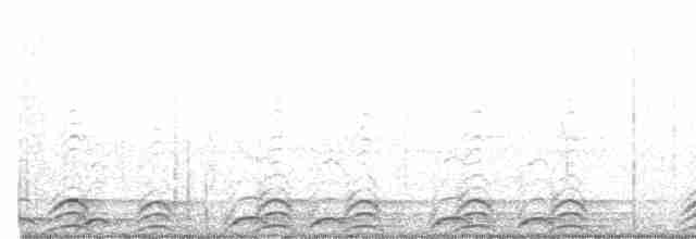 Сова-голконіг плямиста - ML560135761