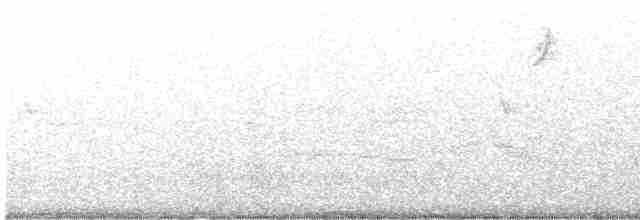 strakapoud proužkohřbetý - ML560155011