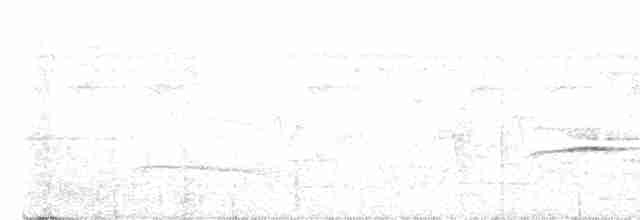 Черношапочный шелкопёр - ML560178801