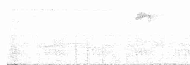 Белокрылая сорока - ML560179281