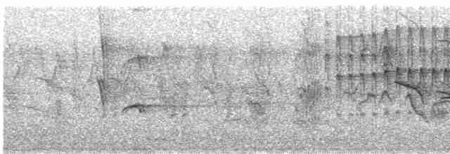 Бурошапочный острокрылый дятел - ML560192491