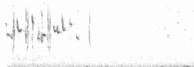Шиподзьоб жовтогузий - ML560192921