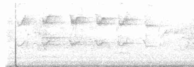 kakadu hnědohlavý - ML560193951