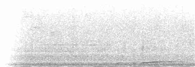 Усатый шипоклюв - ML56020181