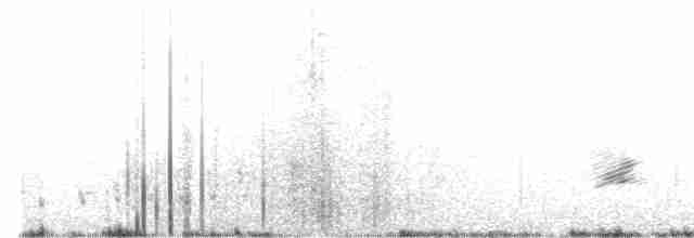Buff-collared Nightjar - ML560213361