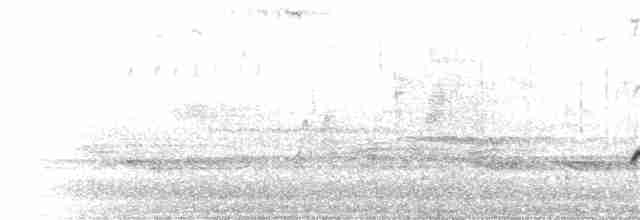 Чернокрылая пиранга - ML56021501