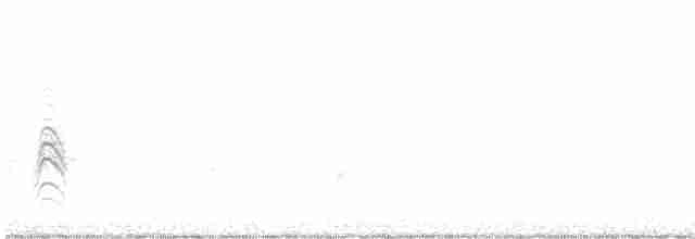 Northern Beardless-Tyrannulet - ML560221871