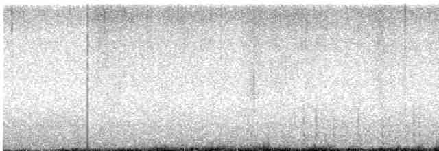 Дятел-смоктун білочеревий - ML560226991
