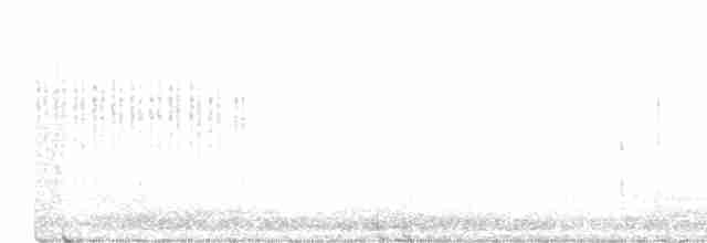 Brillengrasmücke - ML560250561