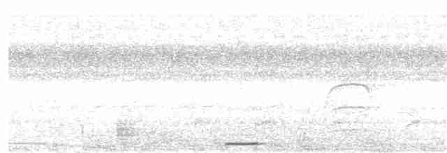 holoubek šedomodrý - ML56027401