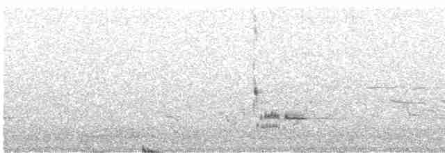 Loggerhead Shrike - ML560283281
