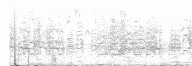 Güneyli Wagler Papağanı - ML560312411