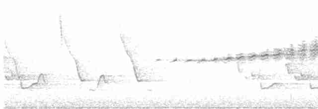 Prairie Warbler - ML560322391