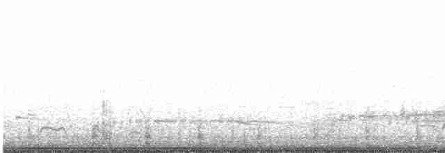 Малая морская чернеть - ML560364091