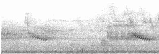 Каролинский крапивник - ML560369241