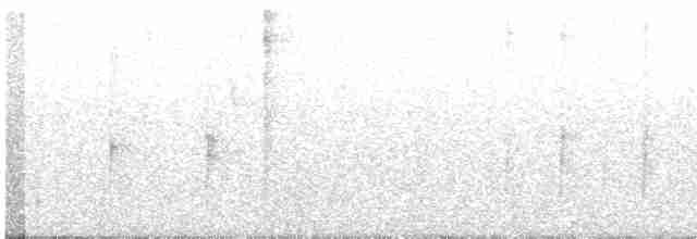 Тиранчик-довгохвіст білогорлий - ML560397781