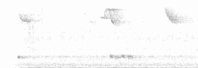 Yellow-shouldered Grassquit - ML560434901