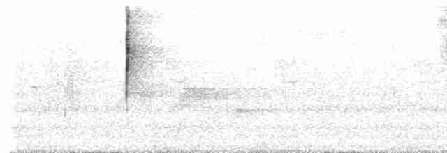 Arrowhead Warbler - ML560481711