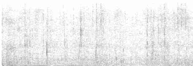 Weißflecken-Ameisenpitta - ML560574571
