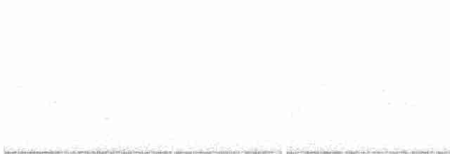 Aquatic Warbler - ML560596361