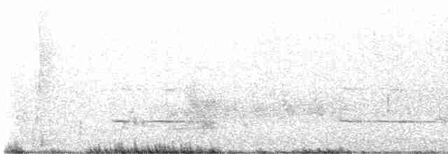 Kestane Kanatlı Tepeli Guguk - ML560639411