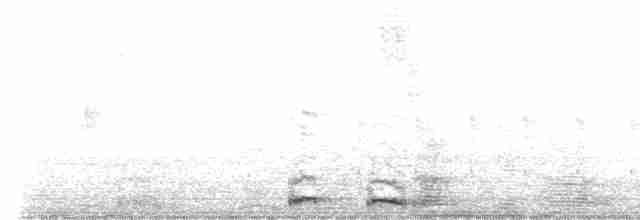 Сова-голконіг острівна - ML560653621