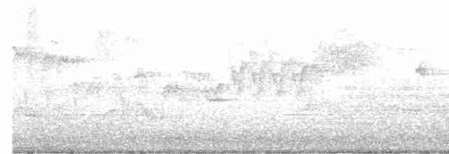 Cerulean Warbler - ML560709901