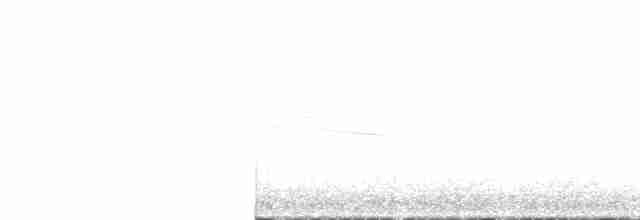Paruline à calotte noire (chryseola) - ML560824201
