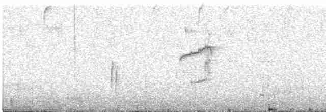Тиранчик-довгохвіст білогорлий - ML560902401