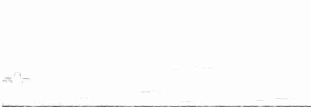 Tinamou à grands sourcils - ML560937111