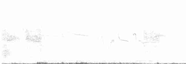 Кропив'янка сіра - ML561037691