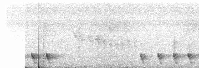 Gray Nightjar - ML561041791