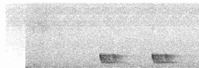 Large-tailed Nightjar - ML561041931