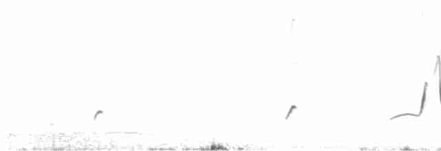 Красноглазая монашка - ML561044551