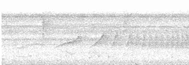 Bluish-slate Antshrike - ML561079471