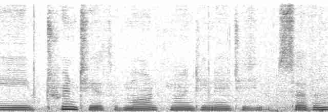 Bıyıklı Büyük Balkılavuzu [minor grubu] - ML56111