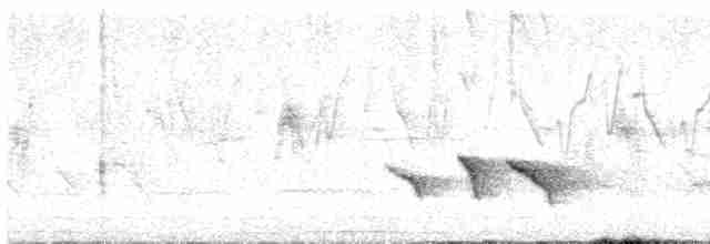 White-browed Shrike-Babbler - ML561111591