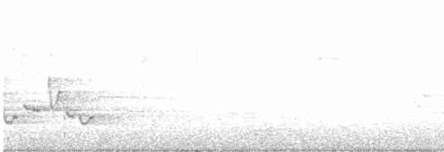 Yellow-throated Warbler - ML561113711