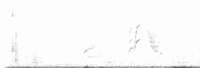 Сорокопутовая мухоловка - ML561132581