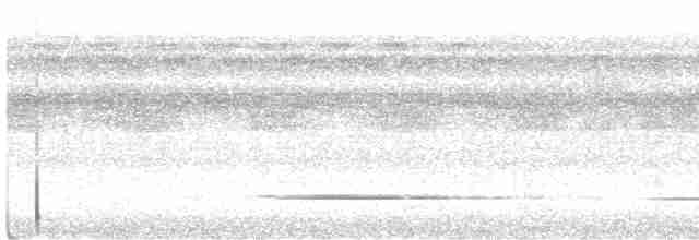 Серый скрытохвост - ML561147151