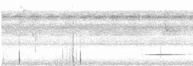 Cinereous Tinamou - ML561148071