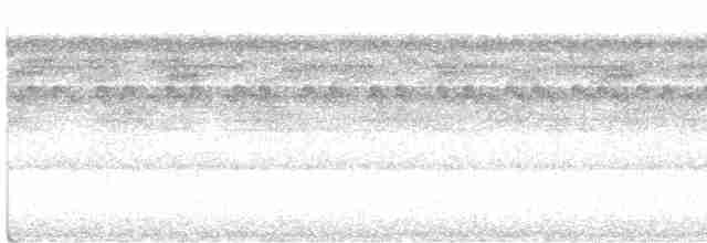 Graubrust-Ameisendrossel - ML561148581