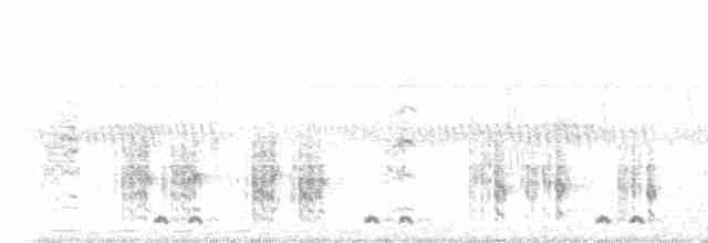 Great Reed Warbler - ML561158701
