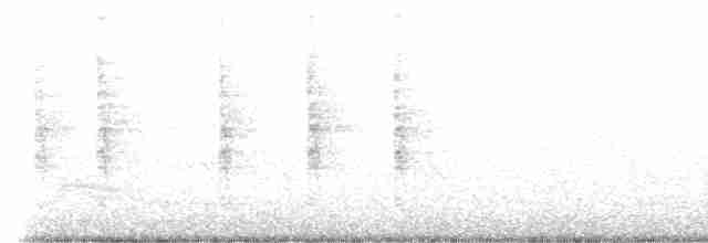 Нектарець аметистовий - ML561160141