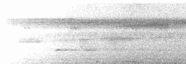 Small-billed Tinamou - ML561235821