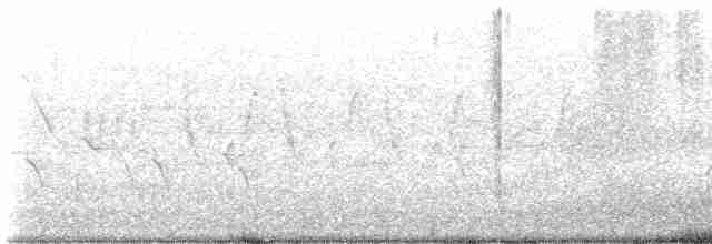 Yellow-throated Warbler - ML561258371