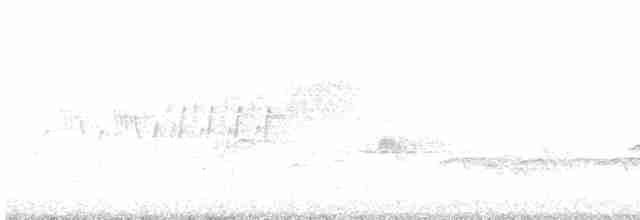 Cerulean Warbler - ML561291021