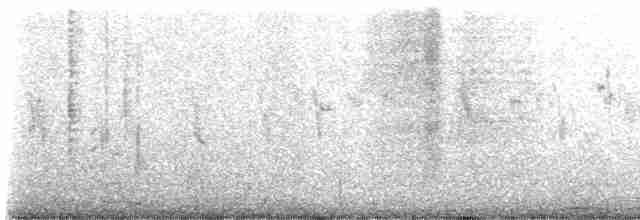 småpræriejerpe - ML561292361
